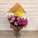 Margaritas De Colores