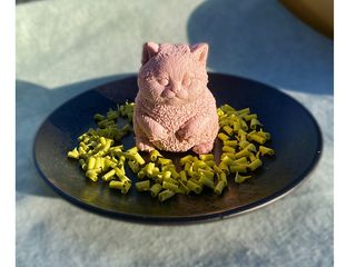 Кіт Моко (100g)