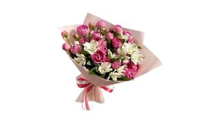 Pink spray&asteomeria