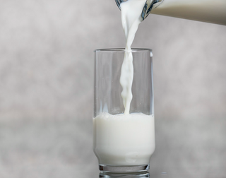 Copo de Leite