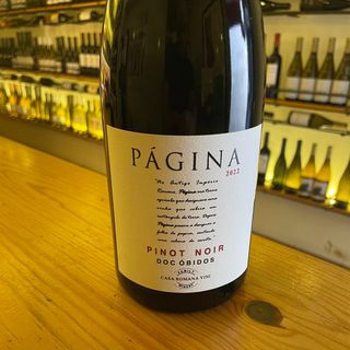 Página Pinot Noir Tinto 2022