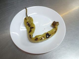 Paprika belolučena ljuta komad