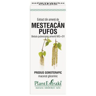 Extract din amenti de mesteacan pufos (BETULA PUBESCENS AMENTI MG=D1) 50ml