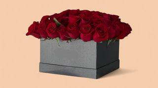 40 ცალი პრემიუმ წითელი ვარდი ყუთში