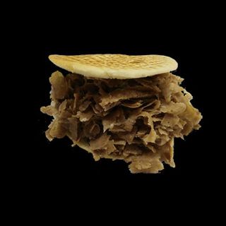 24. Doner Kebab Solo Carne