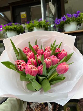 17 півоноподібних тюльпанів 