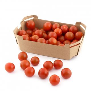 Tomate Cherry 500 Gr.
