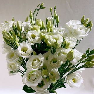 Bouquet Lisianthus  5 tige Blanc  