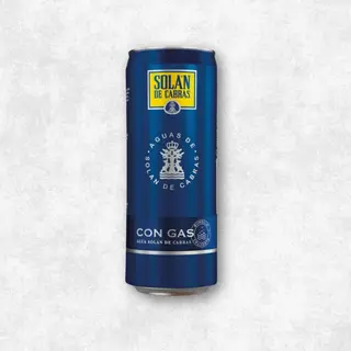 Agua Con Gas 300 Ml.