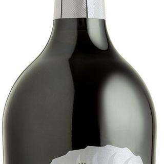 Ігристе Вино Rivani Prosecco ( бут.)