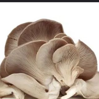 Revuelto De Setas Y Jamón