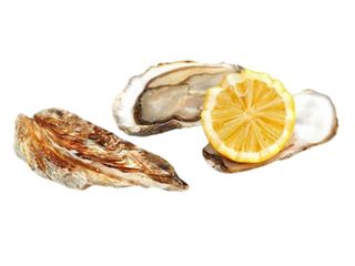 Устриця Бодюз