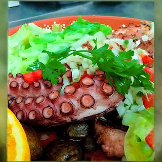 Polvo Assado na Brasa