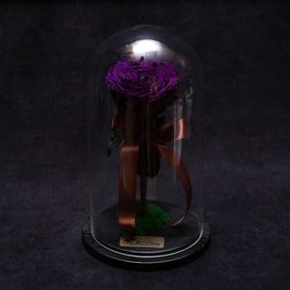 Trandafir Criogenat Mov Mare în Cupolă