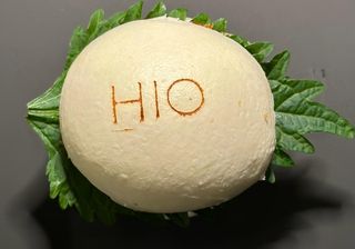 Bao KAISERWAGYU  - 1 pezzo