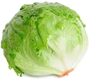 Iceberg
