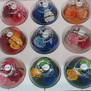 Rosie ste veleggiati misto scelgo i colori Rosa bella