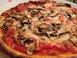 Funghi champignon