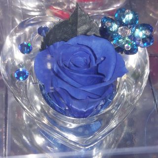 Rosa e stabilizzata forma di cuore