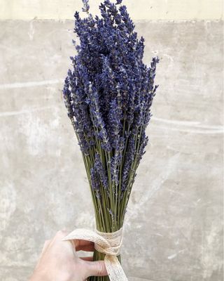 Pomo de lavanda seca