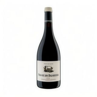 Pago De Los Balagueses Syrah (75 cl.)