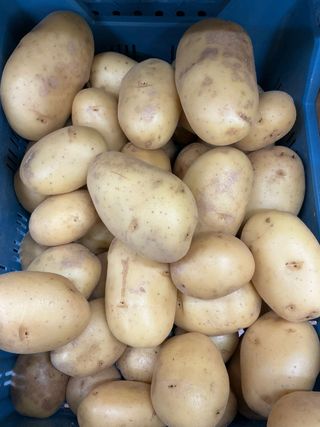 Patate gialle