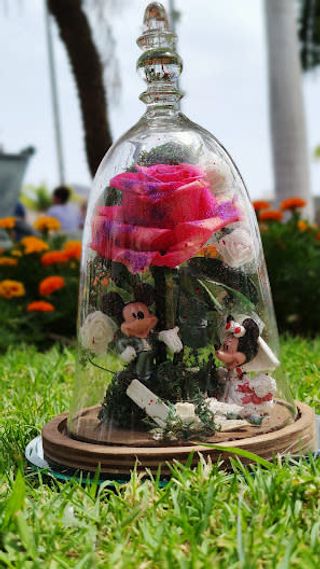 Cupula Mickey y Minnie