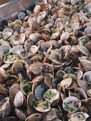 Vongole