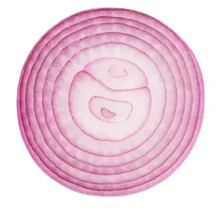 Cebolla