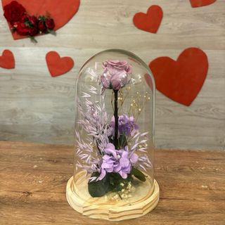 CUPULA ROSA ETERNA LILA