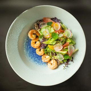 Salata Cataleya