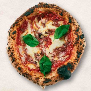 AMATRICIANA