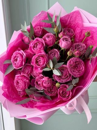 პიონისებრი ვარდები