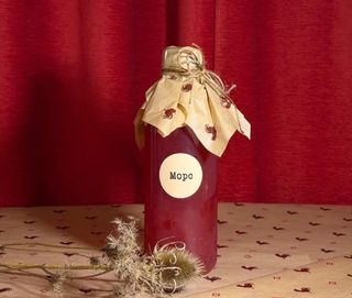 MORS DE ARANDANO (1 lt)/брусничный морс