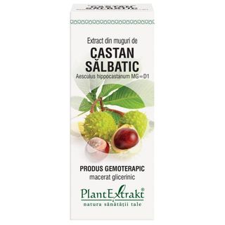 Extract din muguri de castan salbatic 50 ml (AESCULUS HIPP)