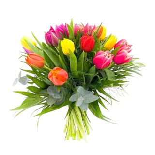 Bouquet Tulipanes