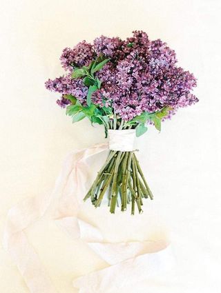 ისამანი