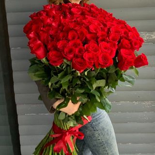 Троянда Еквадор Freedom 130 см