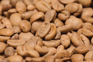 caffè TOSTATO FRESCO Mexico Arabica Altura HG EP Turquesa 250 grammi