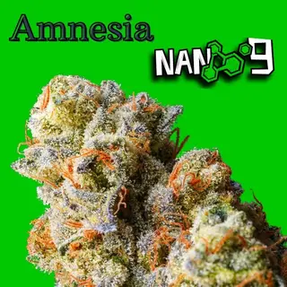 Amnesia x Nano 9 CBD al 60% 1G