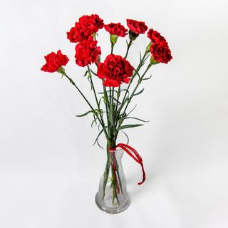 Bukiet z goździków 