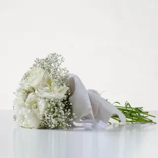 Mazzo di 10 peonia  (white ) 