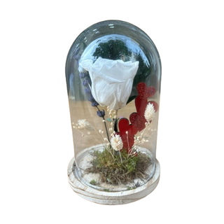 Cúpula Rosa Eterna Blanca (20 Cm.)