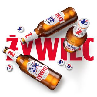 Piwo zywiec