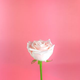 Кімберлі 70 см