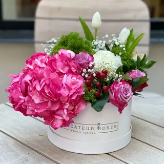 pink summer flowers