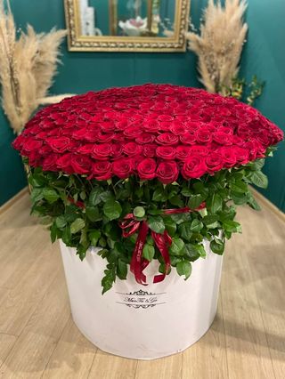 ვარდი n500