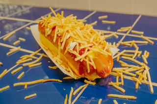 Perrito señor papas fritas