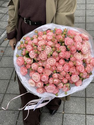 Солодка ніжність