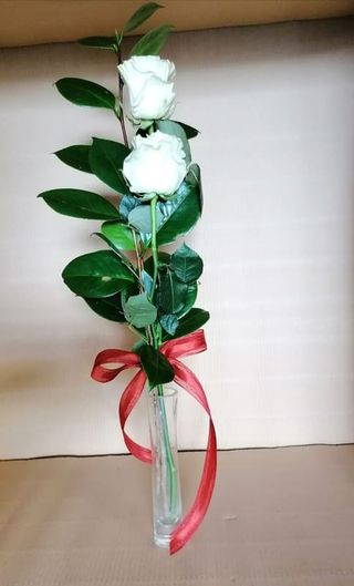 Dos Rosas Blancas Para Regalo